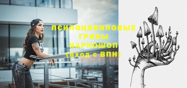 СК Арсеньев